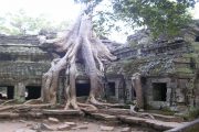 Angkor family discovery