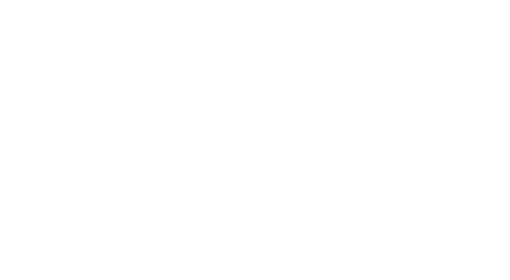 Orient Skyline Travel